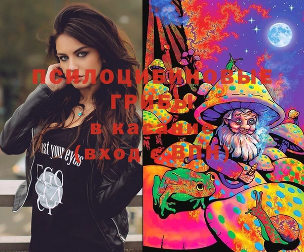 ПСИЛОЦИБИНОВЫЕ ГРИБЫ Белая Калитва