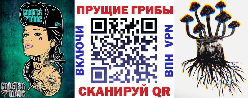 Купить  Радужный  Галлюциногенные грибы Psilocybe 